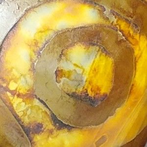 Meet your Posher, Jenny